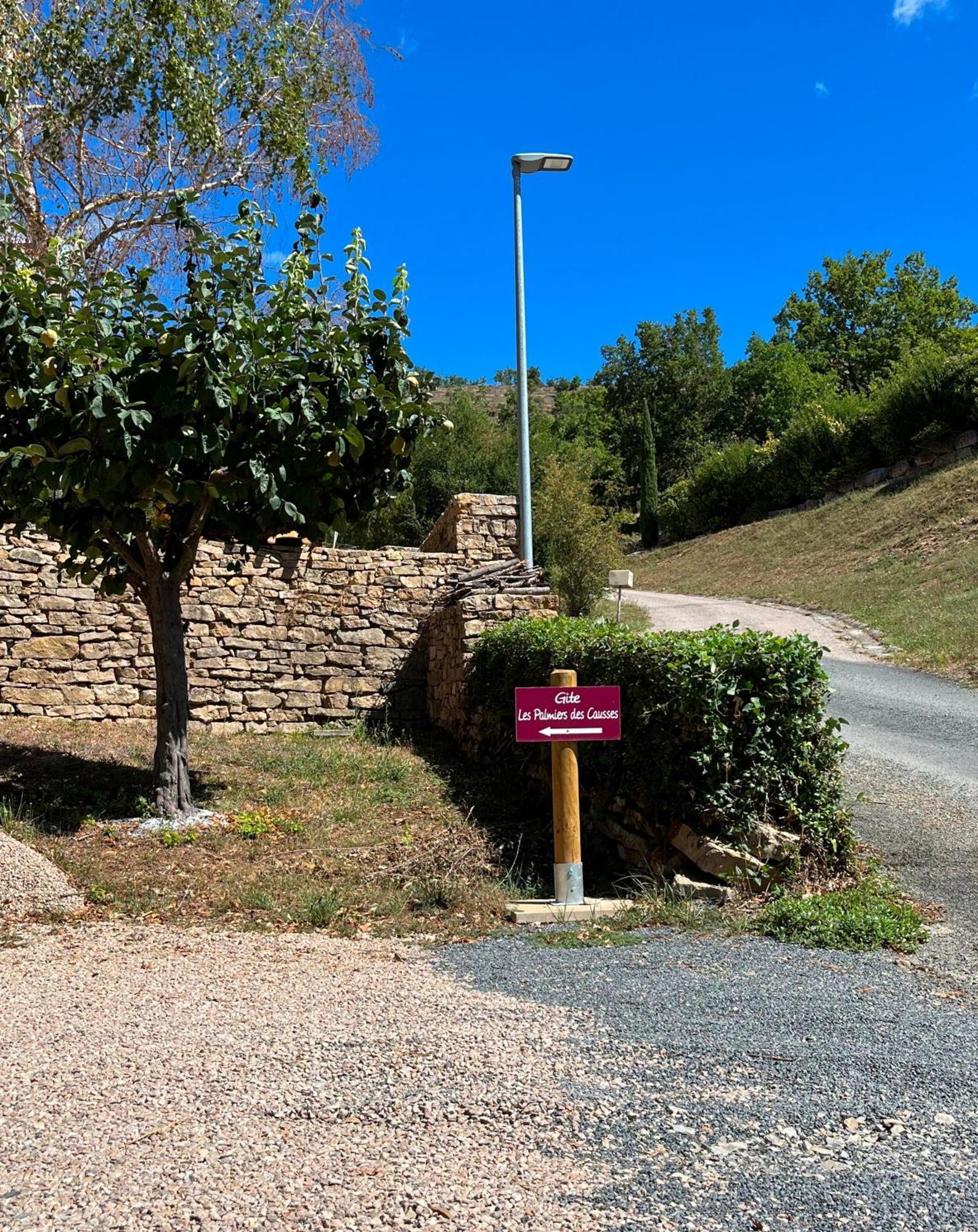 Les Palmiers Des Causses Villa Saint-Rome-de-Tarn Dış mekan fotoğraf